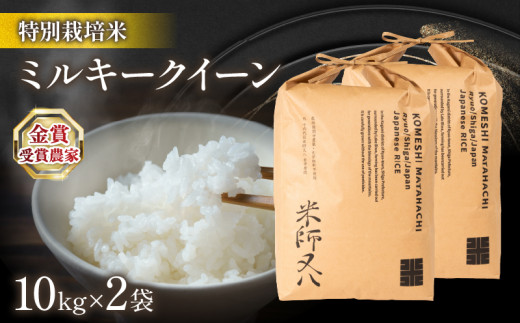 【 1〜2週間以内に発送 】令和7年 新米 ミルキークイーン 10kg × 2袋 ( 令和7年産 2025年産 ブランド 米 20kg rice 精米 白米 ご飯 内祝い 十六代目米師又八 謹製 もちもち 国産  滋賀県 竜王 ふるさ