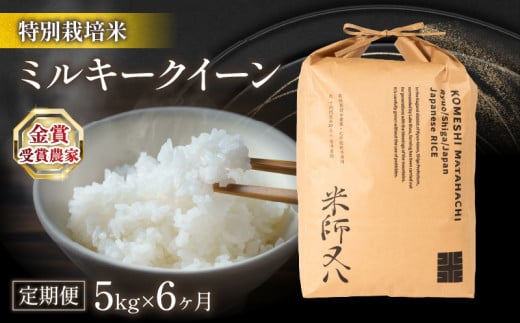 令和7年 米 定期便 ミルキークイーン 5kg × 6ヶ月 ( 令和7年産 6回 計30kg 2025年産 ブランド 米 定期便 rice 精米 白米 ご飯 内祝い 十六代目米師又八 謹製 もちもち 国産  滋賀県 竜王 ふるさと納