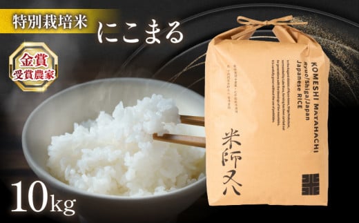 【 先行予約 】 新米 にこまる 10kg  ( 令和7年産 2025年産 新米 ブランド 米 rice 精米 白米 ご飯 内祝い 十六代目米師又八 謹製 もちもち 国産  滋賀県 竜王 ふるさと納税 )滋賀県竜王町50000米・
