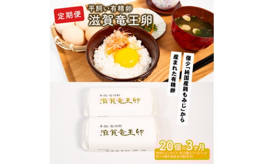 定期便 卵 平飼い有精卵 20個×3ヵ月 ※割れ保証各3個 ( こんもり盛り上がるプルプルな卵白 大人気 滋賀竜王卵 僅少 純国産 鶏もみじ 卵焼き 玉子 たまご タマゴ 卵 おでん すき焼き 鶏 ケーキ