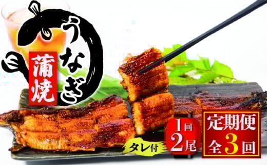 国産 うなぎ 定期便 蒲焼 約180g×2尾 タレ付 3ヵ月定期便 ( 冷凍 うなぎ3回 定期便 丑の日 ギフト 国産 滋賀県 竜王町 ふるさと納税 )滋賀県竜王町56000魚介・海産物うなぎ