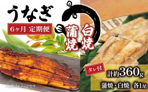 国産 うなぎ 定期便 白焼 蒲焼セット 180g×2尾 計約360g タレ付  6ヵ月 ( 鰻 冷凍 6回 定期便 たれ付 丑の日 ギフト 国産 滋賀県 竜王町 真空パック  ふるさと納税 父の日 )滋賀県竜王町112000魚介