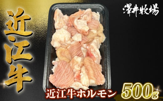 近江牛 ホルモン 500g (250g×2)  ( 黒毛和牛 牛肉 肉 ギフト 焼肉 焼き肉 自宅用 高級 黒毛和牛 国産 ふるさと納税 ブランド牛 三大和牛 和牛 冷凍 贈り物 内祝い 神戸牛 松阪牛 に並ぶ 日本三大