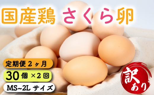 定期便 卵 30個  ( たまご 25個 + 割れ補償 5個 ) 2回 2ヶ月 定期便 国産 鶏 さくら 簡易包装 コクのある 濃い 卵黄 風味 とれたて 生 たまご  滋賀 地産地消  国産鶏 玉子 産みたて 新鮮 卵 かけご