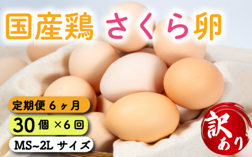 定期便 卵 30個  ( たまご 25個 + 割れ補償 5個 ) 6回 6ヶ月 定期便 国産 鶏 さくら 簡易包装 コクのある 濃い 卵黄 風味 とれたて 生 たまご  滋賀 地産地消  国産鶏 玉子 産みたて 新鮮 卵 かけご