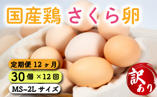 定期便 卵 30個  ( たまご 25個 + 割れ補償 5個 ) 12回 12ヶ月 定期便 国産 鶏 さくら 簡易包装 コクのある 濃い 卵黄 風味 とれたて 生 たまご  滋賀 地産地消  国産鶏 玉子 産みたて 新鮮 卵 かけ