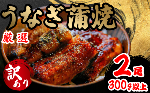 󂠂 Ȃ Ă 2 150gȏ × 2{ v300g ȏ ( V 񂵂傤  Zbg {i Ȃ 2C ① V  Ș ȏd Ђ܂Ԃ lC y CN p v[g 蕨 Mtg