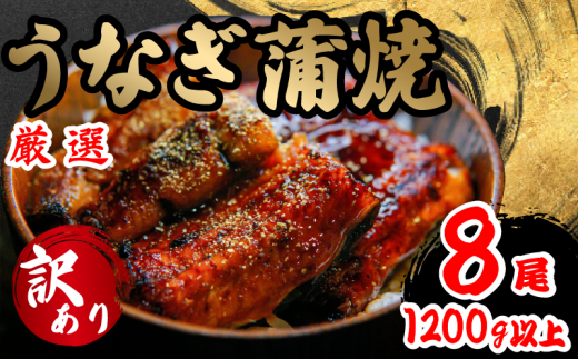 訳あり うなぎ 蒲焼き 8尾 150g以上 × 8本入 計1200g 以上 (  鰻 さんしょう たれ セット 本格 うなぎ 8匹 冷蔵 鰻 蒲焼 うな丼 うな重 ひつまぶし 人気 惣菜 海鮮 贈答用 プレゼント 贈り物 ギフト