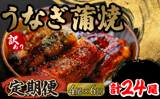 定期便 6回 訳あり うなぎ 蒲焼き 4尾 150g以上 × 4本入 計600g 以上 ( 鰻 6ヶ月 定期 さんしょう たれ セット 本格 うなぎ 4匹 冷凍 鰻 蒲焼 うな丼 うな重 ひつまぶし 人気 惣菜 海鮮 贈答用 プレ