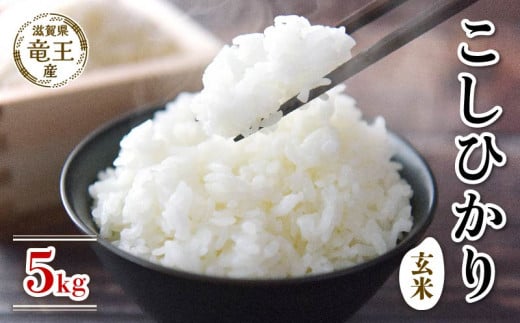 【 先行予約 】 令和7年産 新米 予約 コシヒカリ 玄米 5kg 米 滋賀県 竜王町 国産 農家直送 特別栽培米 こしひかり 2025年産 国産 農家直送 環境こだわり お米 こめ おこめ 産地直送  滋賀県 竜