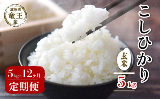 【 先行予約 】 令和7年産 新米 予約 こしひかり 玄米 5kg 定期便 12ヶ月 コシヒカリ 定期 12か月  5kg × 12回 計 60kg 米 滋賀県 竜王町 国産 農家直送 特別栽培米 コシヒカリ  2025年産 国産 農家直
