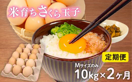 定期便 卵 10kg × 2ヶ月 割れ補償 5個 Mサイズ のみ 約 160個 × 2回 定期便 国産 米育ち さくら玉子 さくら卵 鶏 さくら コク 濃い 卵黄 風味 とれたて 生 たまご 地産地消  国産鶏 玉子 産みたて