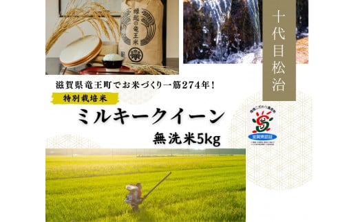 新米【 数量限定 】 ミルキークイーン 無洗米 5kg 縁起の竜王米  ( 令和7年産 先行予約 新米 無洗米 5kg お米 おこめ ごはん 米 特別栽培米 ブランド米 ライス こだわり米 ギフト 国産 縁起の竜