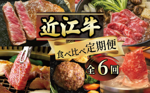 【 定期便 】 近江牛 毎月ちがう 食べ比べ 全6回 ( すき焼き しゃぶしゃぶ ステーキ ハンバーグ 近江牛 ブランド牛 近江牛 牛肉  贈り物 ギフト 国産  滋賀県  竜王町 赤身 霜降り 神戸牛 松阪