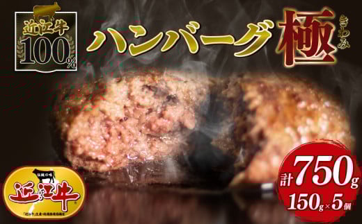 近江牛 100% 極味 ハンバーグ 150g × 5個 黒毛和牛 ブランド 肉 三大和牛 贈り物 ギフト 滋賀県 竜王町 古株牧場 神戸牛 松阪牛 に並ぶ 日本三大和牛 ふるさと納税滋賀県竜王町10000肉加工肉(