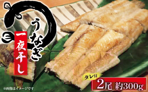 うなぎの一夜干し 約150g 2尾滋賀県竜王町27000魚介・海産物うなぎ