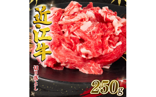 【1月発送】 近江牛 切り落とし 250g 冷凍 黒毛和牛 ( 和牛 ブランド 牛 牛肉 三大和牛 切り落し 牛丼 カレー 惣菜 おかず 切落し 贈り物 ギフト 国産 滋賀県 竜王町 岡喜 神戸牛 松阪牛 に並