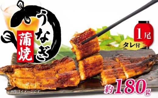 Y Ȃ  180g ^t Ⓚ  ( O Ȃ V VN  yj N̓ ^pbN  ꌧ   )ꌧ14000ECYȂ