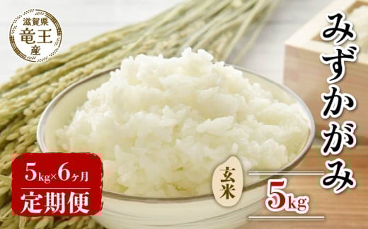 【 先行予約 】 令和7年産 新米 予約 みずかがみ 玄米 5kg 定期便 6ヶ月 みずかがみ 定期 6か月  5kg × 6回 計 30kg 米 滋賀県 竜王町 国産 農家直送 特別栽培米 ミズカガミ  2025年産 国産 農家直送
