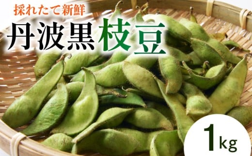 枝豆 1 kg 野菜 丹波黒 枝豆 枝豆 黒大豆 丹波黒 枝豆 旬 採れたて 産地直送 枝豆 おつまみ ヤサイ やさい 食材 新鮮 滋賀県 竜王町  竜王産滋賀県竜王町7000野菜・きのこ豆類