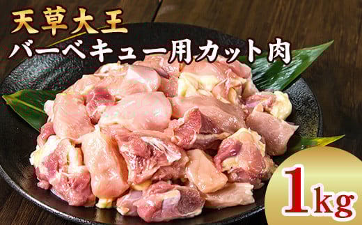 V剤 o[xL[pJbg s60ȓɏoח\(yj)t F{Y y̒n{z剤t@[ЌF{Ò13000{