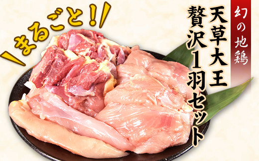 天草大王 贅沢1羽セット 約1.5kg 《60日以内に出荷予定(土日祝除く)》【幻の地鶏】もも・むね・ささみ 各2枚 熊本県産 あそ大王ファーム株式会社熊本県大津町17500肉鶏肉