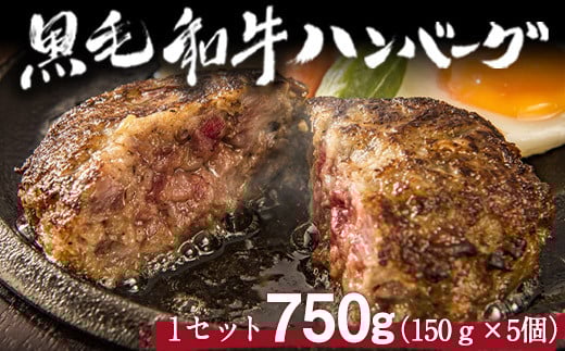 黒毛和牛ハンバーグ 150g×5個《60日以内に出荷予定(土日祝除く)》ブランド牛 黒毛和種 有限会社トップルーフ熊本県大津町16000肉牛肉