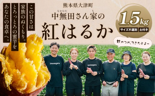 熊本県大津町産 中無田農園の紅はるか 約1.5kg (大中小サイズ不揃い) 熊本県大津町 《12月上旬-1月中旬頃出荷予定》 さつまいも 芋 スイートポテト 干し芋にも 名産地 特産品 秋 旬熊本県大津
