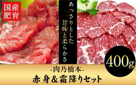 馬刺・赤身&霜降りセット 計400g 《60日以内に出荷予定(土日祝除く)》 赤身馬刺し 霜降り馬刺し 肉乃橋本 冷凍 ブロック熊本県大津町28000肉ジビエ