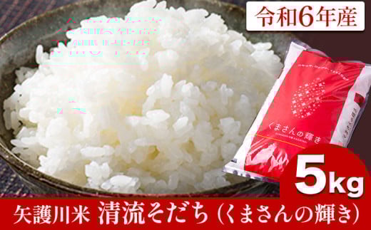 ߘa6NY 쐴(܂̋P) 5kg Ò삨č茤  F{ Òs60ȓɏoח\(yj)tF{Ò17500āEp