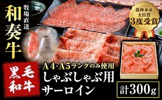 厳選 くまもと黒毛和牛 しゃぶしゃぶ用 サーロイン 300g 《30日以内に出荷予定(土日祝除く)》熊本県 大津町 和牛焼肉LIEBE くまもと黒毛和牛 サーロイン ロース しゃぶしゃぶ 冷蔵 リーベ熊本