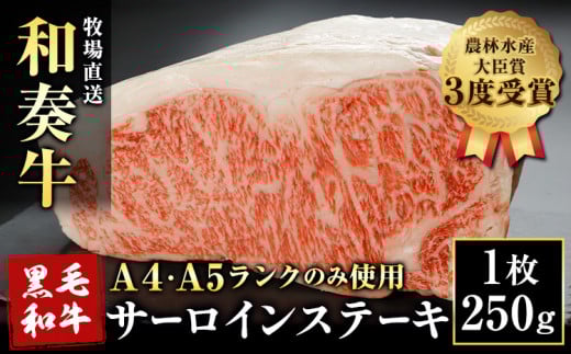 A5 A4 ランク 厳選 くまもと黒毛和牛 サーロインステーキ 1枚(約250g)《30日以内に出荷予定(土日祝除く)》 熊本県 大津町 和牛焼肉LIEBE サーロイン ステーキ 冷蔵 リーベ熊本県大津町15000肉牛肉