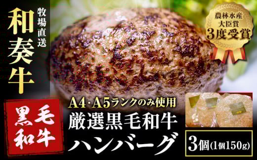 厳選くまもと黒毛和牛ハンバーグ 3個 (1個150g)《30日以内に出荷予定(土日祝除く)》熊本県 大津町 和牛焼肉LIEBE くまもと黒毛和牛 ハンバーグ 冷凍 リーベ熊本県大津町10000肉牛肉