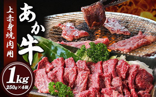  Ԑgēp 1kg (250g×4) LЍKHs60ȓɏoח\(yj)t  ԋ ē Ⓚ pbNF{Ò38500