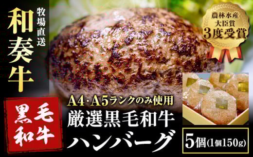 厳選くまもと黒毛和牛ハンバーグ 5個 (1個150g)《30日以内に出荷予定(土日祝除く)》熊本県 大津町 和牛焼肉LIEBE くまもと黒毛和牛 ハンバーグ 冷凍 リーベ熊本県大津町15000肉牛肉