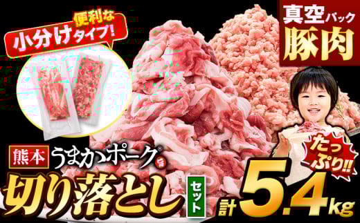豚肉 切り落とし & ミンチ ハーフセット 3セット 5.4kg 豚 細切れ こま切れ 豚こま 豚小間切れ 豚しゃぶ 小分け 訳あり 訳有 ひき肉 うまかポーク 傷 規格外 ぶた肉 ぶた 真空パック  簡易包装