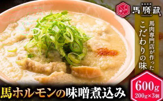 馬ホルモンの味噌煮込み 600g 200g×3 馬勝蔵 《30日以内に出荷予定(土日祝除く)》熊本県 大津 馬肉 ホルモン 味噌煮 みそ おつまみ 小術 コジュツ熊本県大津町13000肉ジビエ