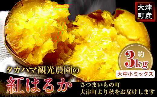 熊本県 大津町産 タカハマ観光農園 の 紅はるか 約 3kg 大中小ミックス《2026年1月上旬-6月末頃出荷》 さつまいも 芋 スイートポテト 干し芋にも熊本県大津町7000野菜・きのこじゃがいも・イ