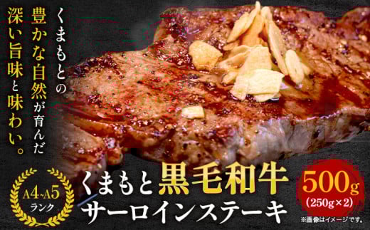 【A4〜A5】くまもと黒毛和牛 サーロインステーキ  500g 《30日以内に出荷予定(土日祝除く)》 牛肉 くまもと黒毛和牛 黒毛和牛 冷凍庫 サーロイン ステーキ Esprit熊本県大津町22500肉牛肉