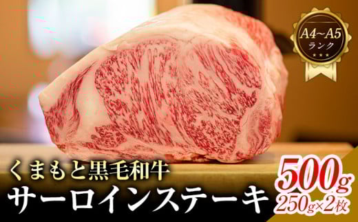 【A4〜A5】くまもと 黒毛和牛 サーロイン ステーキ 500g 《30日以内に出荷予定(土日祝除く)》熊本県 大津町 黒毛和牛 肉 お肉 和牛 牛 牛肉 A5 A4 小分け MEAT PLUS熊本県大津町17000肉牛肉