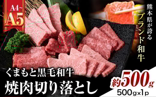 【A4〜A5】くまもと黒毛和牛 焼肉切り落とし  約500g(500g×1p) 《30日以内に出荷予定(土日祝除く)》熊本県 大津町 黒毛和牛 肉 お肉 和牛 牛 牛肉 A5 A4 焼肉 切り落とし MEAT PLUS熊本県大津町12500肉