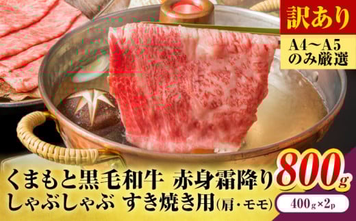 訳あり 【A4〜A5】くまもと 黒毛和牛 赤身霜降り しゃぶしゃぶ すき焼き用(肩・モモ)800g 《30日以内に出荷予定(土日祝除く)》熊本県 大津町 黒毛和牛 肉 お肉 和牛 A5 A4 小分け MEAT PLUS熊本