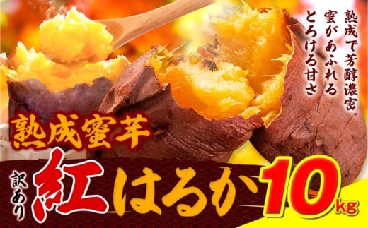 󂠂g͂邩 Tc}C 10kg s2026N1{-5oח\tg͂邩 ܂ F{ Ò C  ܂ 󂠂F{Ò9000؁ÊႪEC
