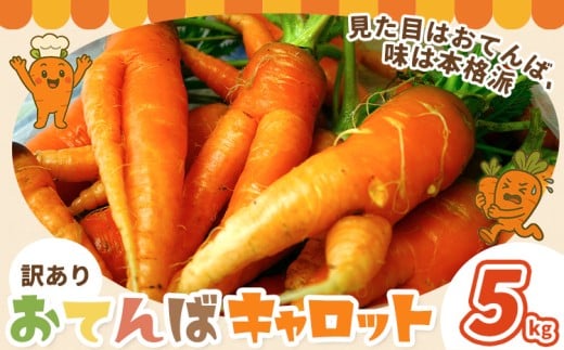 人参 訳あり にんじん ニンジン キャロット 5kg《12月中旬-3月上旬頃出荷》熊本県 大津町 人参  にんじん キャロット 熊本県産 にんじん熊本県大津町5000野菜・きのこ大根・ニンジン・根菜類