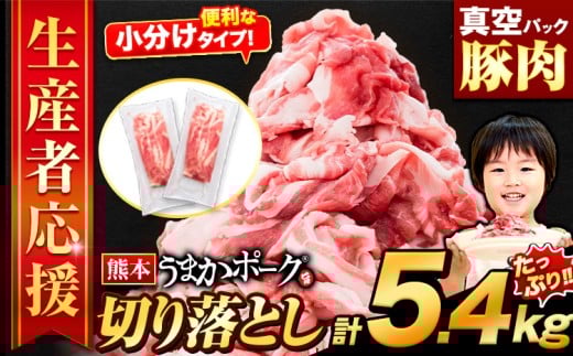 \特別寄付額で受付中/豚肉 切り落とし 5.4kg 豚 細切れ こま切れ 豚こま 豚小間切れ 豚しゃぶ 小分け 訳あり 訳有 うまかポーク 傷 規格外 ぶた肉 ぶた 真空パック  簡易包装 冷凍 《12月上