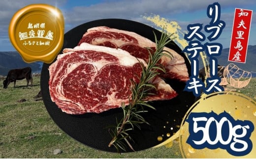 【TBS 「熱狂マニアさん!」で紹介】 経産牛リブロースステーキ500g 国産 ステーキ 牛肉  放牧 黒毛和牛 リブロース 赤身島根県知夫村25000肉牛肉