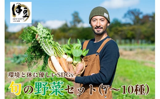 身体 環境 優しい SDGs 旬の野菜セット (旬の野菜7〜10種) 【無農薬 無肥料 自然栽培 旬 新鮮 直送 自然農】 010-010静岡県伊豆市10000野菜・きのこその他 野菜