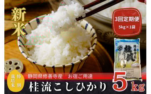 【定期便】全3回 修善寺桂流こしひかり5kg【 コシヒカリ 白米 お米 精米 国産 米 ごはん 特別栽培米 お取り寄せ 静岡県 伊豆市】030-007静岡県伊豆市30000米・パン白米