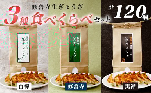 修善寺生餃子 3種 食べくらべ セット | 修善寺 餃子 ぎょうざ ご当地 手作り 生ぎょうざ 国産 素材 お取り寄せ 家族向け グルメ 簡単 冷凍 おかず おつまみ 晩酌 おすすめ モチモチ ヘルシー