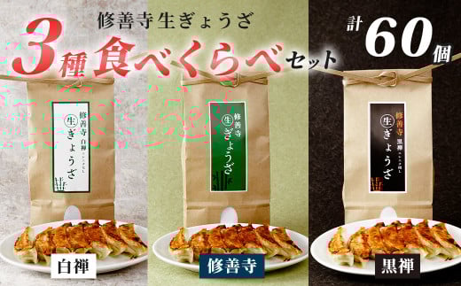 修善寺生ぎょうざ3種食べくらべセット(冷凍)60個入 | 修善寺 餃子 ぎょうざ ご当地 手作り 生ぎょうざ 国産 素材 お取り寄せ 家族向け グルメ 簡単 冷凍 おかず おつまみ 晩酌 おすすめ